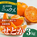 【ふるさと納税】【先行予約受付中】産地直送！愛媛県産せとか 3kg　※2025年2月下旬～3月下旬頃に順次発送予定　≪柑橘 みかん ギフト≫