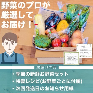 【 野菜 】 野菜定期便 3ヶ月