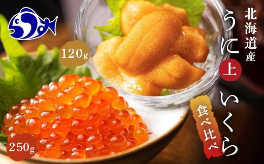 【先行/2026年1月より発送】知床羅臼町産うにといくらの食べ比べセット（うに【上】120g・いくら250g） 生産者 支援 応援 016942_AM006