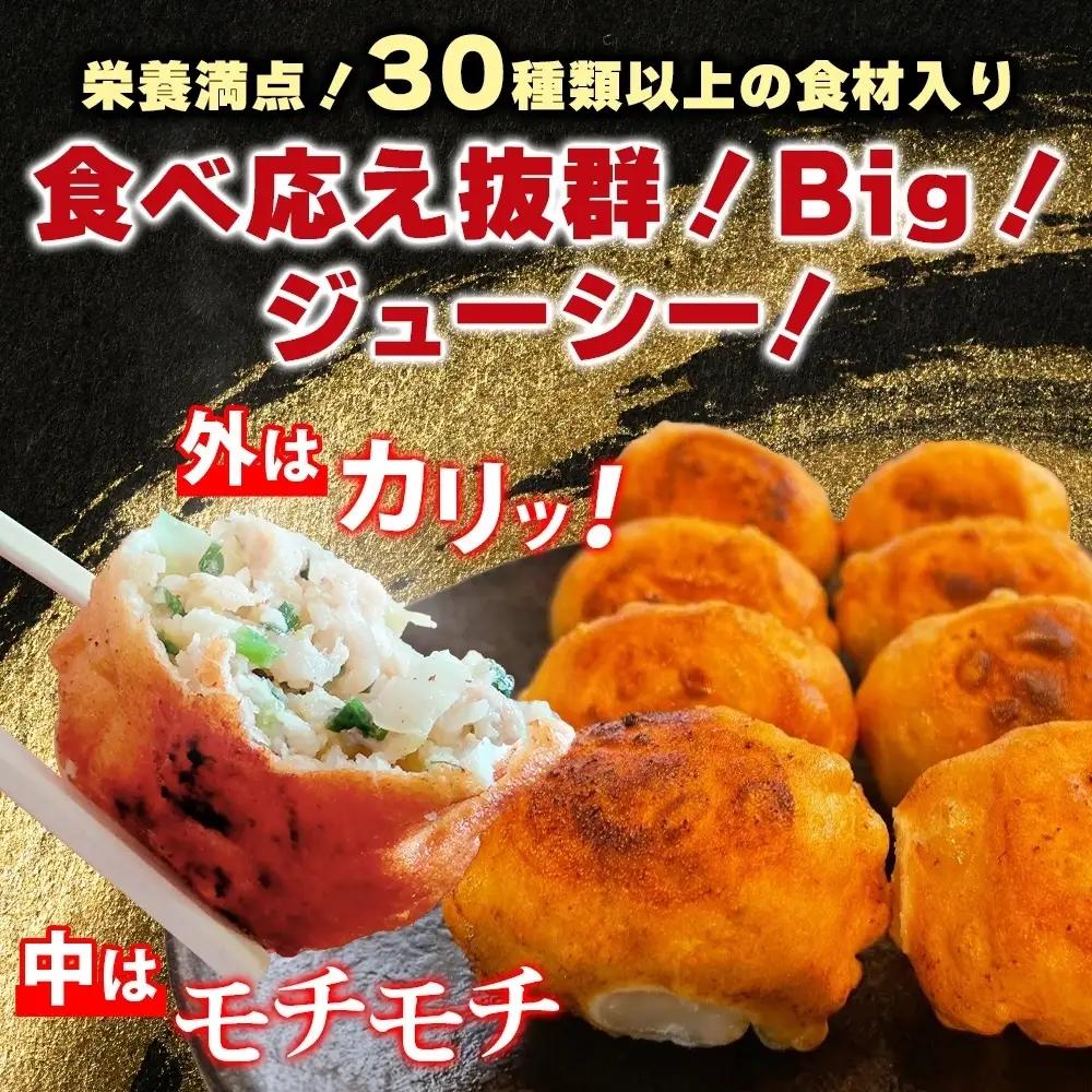 餃子のはながさ 定期便 隔月3回 ホワイト餃子16個×2パック 冷凍 中華 点心 B級グルメ ご当地 野菜 おつまみ おかず 簡単調理 時短 豚肉 ポーク 大きめ ジューシー ギフト お取り寄せ 日高