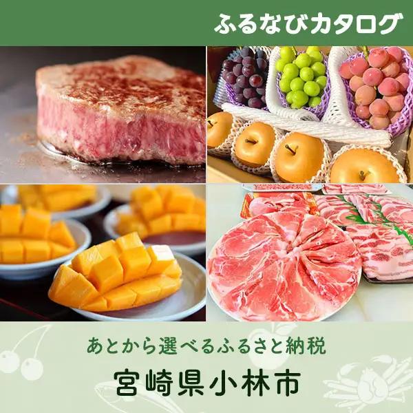 【有効期限なし！後からゆっくり特産品を選べる】宮崎県小林市カタログポイント