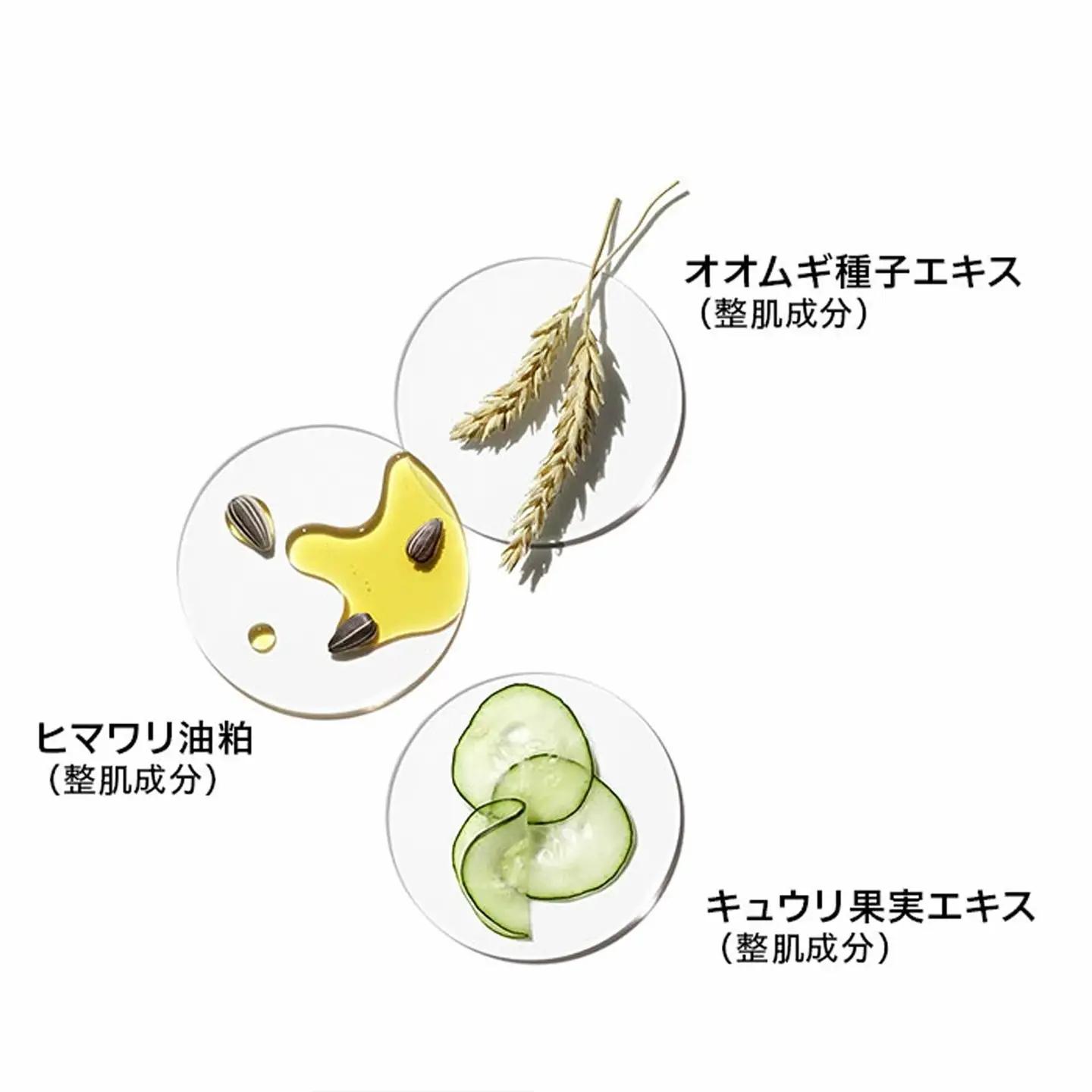 【ふるなび限定】ドラマティカリー ディファレント モイスチャライジング ローション プラス 125mL 3個セット【 乳液 化粧品 】 FN-Limited-SP