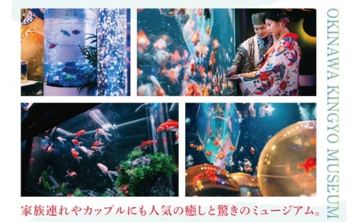 沖縄金魚ミュージアム入場券　子供1名｜観光 チケット 沖縄金魚ミュージアム 金魚 あしびなー 豊見城（DN002）