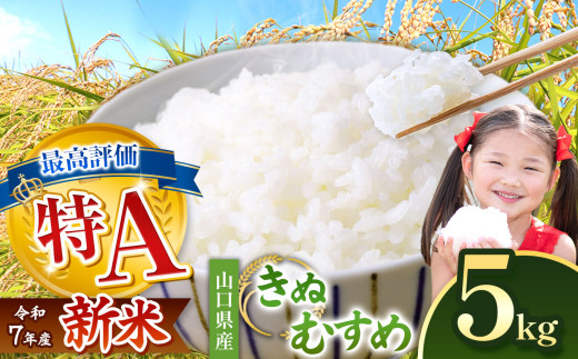 令和7年度産 きぬむすめ 白米 5kg ＜ 2026年1月～より順次発送予定  ＞ ｜ 精米 白米 米 雑穀 お米 コメ 単一米 きぬむすめ 絹娘  山口 美祢 秋吉台 5kg