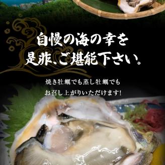 S002-019_岩牡蠣　約3ｋg　約3人前【先行受付】