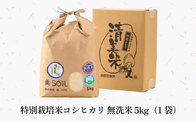 【令和8年産】特別栽培米 コシヒカリ 5kg 無洗米 低農薬 《食味値85点以上！こだわり無洗米》 / 福井県 あわら 北陸 米 お米 人気 高品質 鮮度抜群 新米 [aw032-a020]