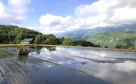 【令和7年度産】長野県小谷村百姓七人衆のあきたこまち【玄米】　３kg