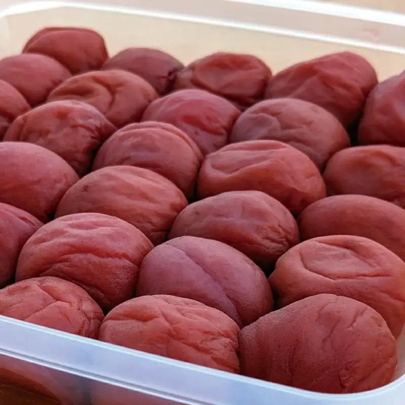 梅干し 日向屋の紀州南高梅 しそ漬け梅 1kg 【hnt006】