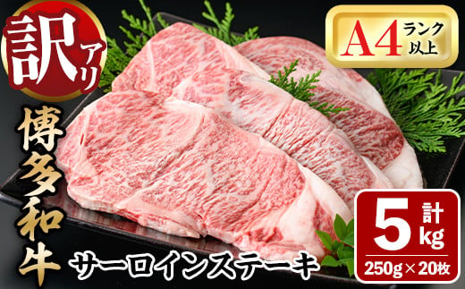 ＜訳あり・不揃い＞博多和牛サーロインステーキセット(20枚・計5kg)牛肉 黒毛和牛 国産 ステーキ＜離島配送不可＞【ksg0521】【MEATPLUS】