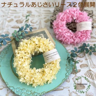 ふるさと納税 春日部市 プリザーブドフラワーアレンジ【ペタル/イエロー】春日部市 シュガーパイン |  | 03