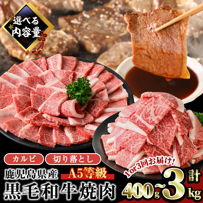 【ふるさと納税】＜配送回数・内容量が選べる＞【人気の カルビ 焼肉 ！】A5等級鹿児島県産黒毛和牛カルビ焼肉 or 焼肉切落し(計400g〜3kg / カルビ焼肉定期便全3回 200g×2パック or 200g×5パック) 牛肉 国産 カルビ 焼き肉 小分け A5 冷凍 黒毛和牛 訳あり 【カミチク】