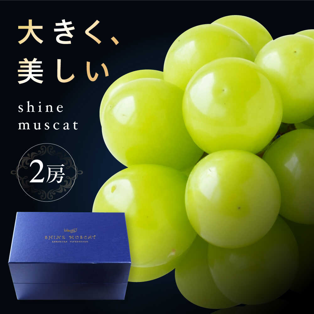 【ふるさと納税】【先行予約】シャインマスカット2房 bloom leaf ／ フルーツ くだもの 果物 ぶどう ブドウ 葡萄 皮ごと マスカット ますかっと 人気 おすすめ 送料無料 国産 産地直送 贈り物 プレゼント 四国 愛媛県 【ブルームリーフ合同会社】[BKBI001] 37000 37000円