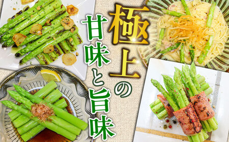 【先行予約】モーモーアスパラ夏芽 L・M 1.2kg（6月中旬より順次発送） 食べやすい太さの2種セット 1.2kg 日田市 / 有限会社本川牧場[ARAI038]