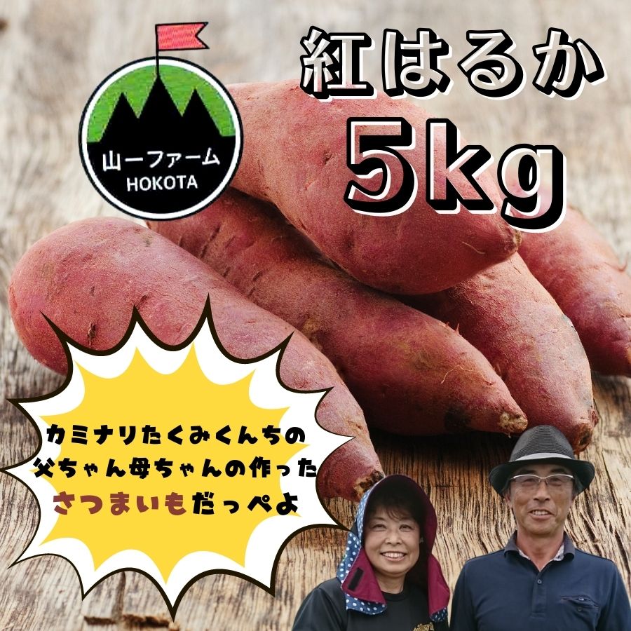【ふるさと納税】紅はるか（5kg入り）1箱