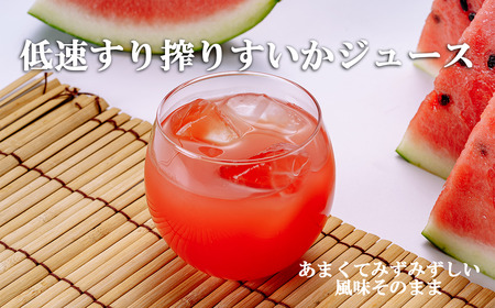 すいかジュース 100g×15P ジュース すいか