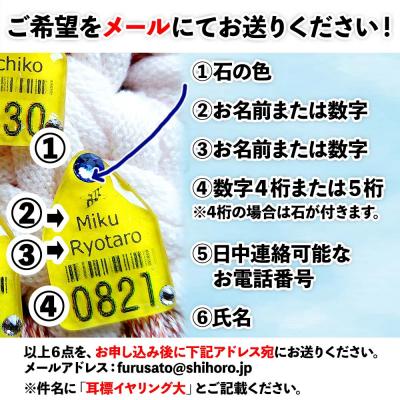 ふるさと納税 士幌町 耳標イヤリング　大【U02e】 |  | 01