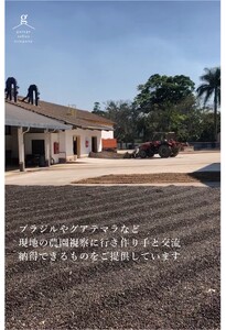 自家焙煎珈琲豆セット(200g×3袋）_豆【G0658】