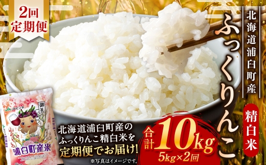 【 2回定期便 】〈 令和8年産 〉 浦臼産 ふっくりんこ 精白米 5kg お米 米 こめ コメ 白米 白飯 飯 ご飯 おにぎり ブランド米 ブランド 国産 北海道産 和食 魚料理 定期 定期配送 【 2026年11月上旬より順次発送 】