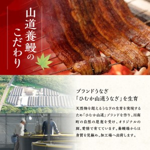うなぎ 【名店の味！宮崎県産鰻】 ひむか山道うなぎ蒲焼２尾分（260ｇ以上）【 鰻 うなぎ 国産 蒲焼き 】