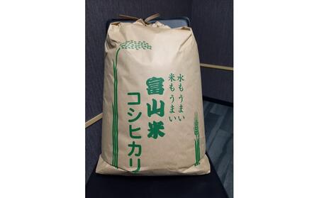 【令和7年産】みどりふぁーむのコシヒカリ 玄米 20kg