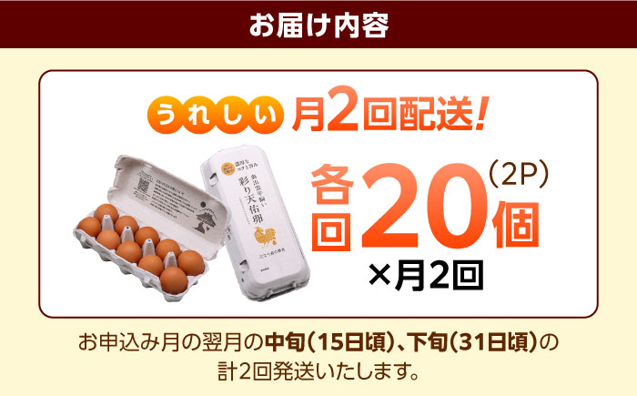 《月2回 × 20個 1ヶ月コース》 たたらの里平飼い 彩り天佑卵 全2回定期便 島根県雲南市/株式会社たなべたたらの里（たなべ森の鶏舎）｜たまご 卵 放牧卵 平飼い卵 新鮮 国産 定期便 [AIDL