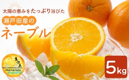 太陽の恵みをたっぷり浴びた瀬戸田産のネーブル　5キロ