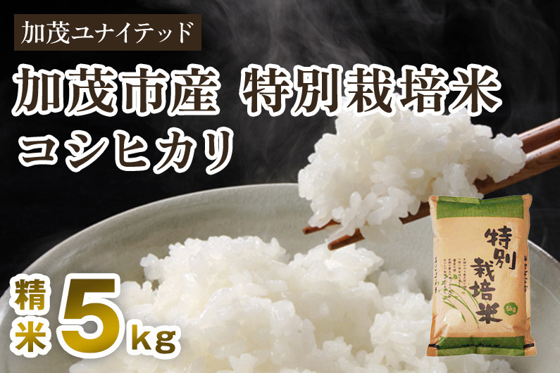 
            【令和6年産新米】加茂市産 特別栽培米 コシヒカリ 精米5kg 栽培期間中は化学肥料・農薬不使用 新潟米 お米 白米 こしひかり 加茂ユナイテッド
          