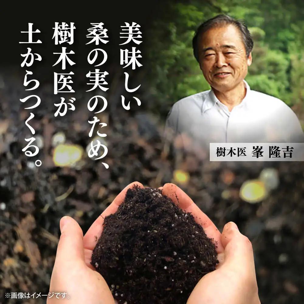 峯樹木園 桑の実ジュース 500ml ジュース[AYAB016]