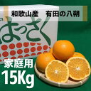 【ふるさと納税】和歌山県産 有田の 八朔 (はっさく) 【訳あり 家庭用】 15kg(S～4Lサイズ混合)【まごころ手選別】【はっさく ハッサク 八朔 和歌山産】