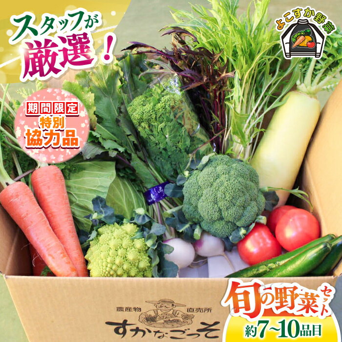 【ふるさと納税】【新生活キャンペーン中！】よこすか野菜セット すかなボックス 野菜 お野菜 季節野菜 やさい 詰め合わせ 詰合せ セット お楽しみ 産地直送 旬 厳選 すかなごっそ 農産物 神奈川県 横須賀市【JAよこすか葉山】[AKFO001]