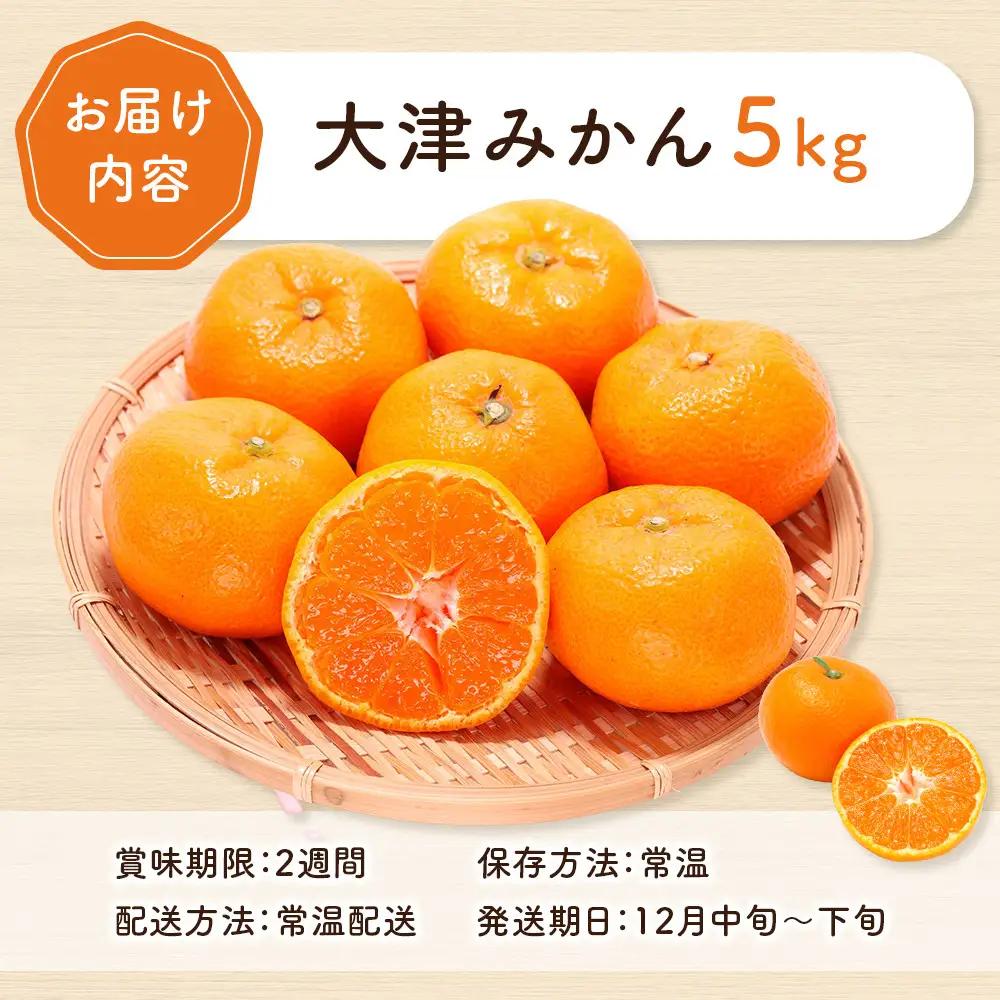 大津みかん 5kg | 湯河原町 湯河原発祥 みかん 柑橘 旬 大津4号 5kg フルーツ