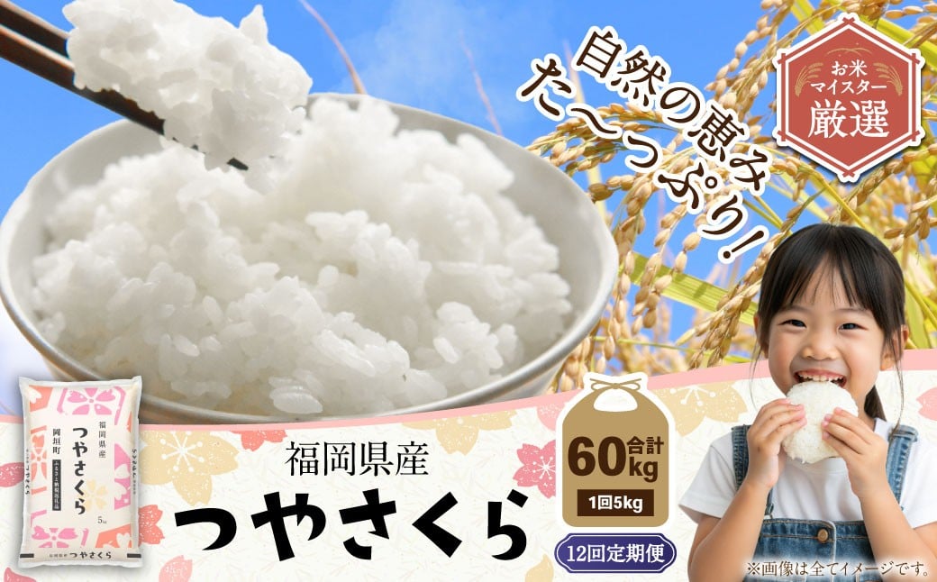 【12ヶ月定期便】福岡県産つやさくら 5kg 岡垣町 ふるさと納税返礼品 お米 こめ 精米 ご飯 ごはん 国産 定期便