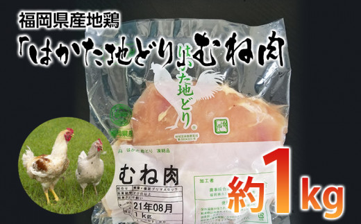 福岡県産地鶏「はかた地どり」むね肉(約1kg)　 お取り寄せグルメ　お取り寄せ 福岡 お土産 九州 ご当地グルメ 福岡土産 取り寄せ 福岡県 食品