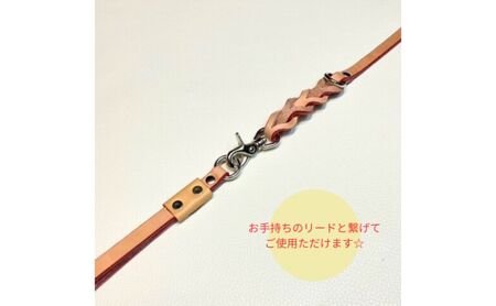 本革リードとスライドコントロールハーネスセット（超小型～中型犬まで使えます） ペット用品 ペットグッズ 犬用品 お散歩グッズ 小型犬 フリーサイズ ハンドメイド 牛革製  レッド