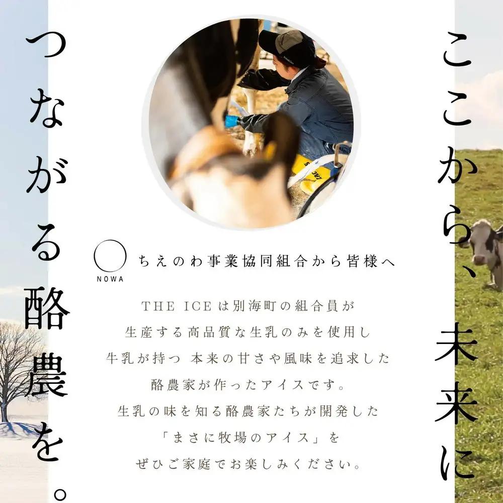 【隔月定期便】 THE ICE 3種詰合せ12個セット×6回定期便  be003-1073-200-6　（ あいす アイス アイスクリーム ミルク ピスタチオ いちご イチゴ 苺 セット 北海道 別海