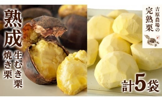 【 吉原農場 の 完熟栗 】 熟成 生むき栗 3袋（1袋あたり120g） ・ 焼き栗 2袋（1袋あたり200g） セット 令和7年産 完熟 栗 くり クリ 栗ごはん 贈答 ギフト 果物 フルーツ 数量限定 旬 秋 冬 正月 おせち [CX009ci]