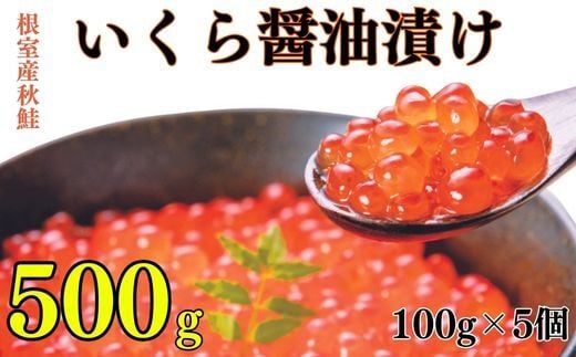 
            B-83004 【12月22日決済分まで年内配送】 【北海道根室産】いくら醤油漬け100g×5P
          