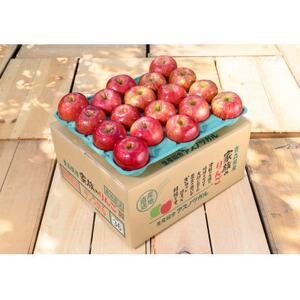 【25年10月より順次発送】平均糖度12度以上! 葉とらずサンつがる 約5kg おもてなし用【配送不可地域：沖縄県】【1611762】