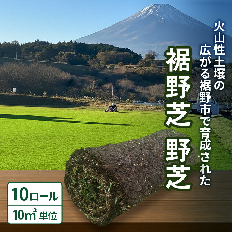 【ふるさと納税】裾野芝（野芝）10ロール（10m2）単位　芝 芝生 ガーデニング DIY 庭 天然 天然芝 最高級 裾野市 静岡県