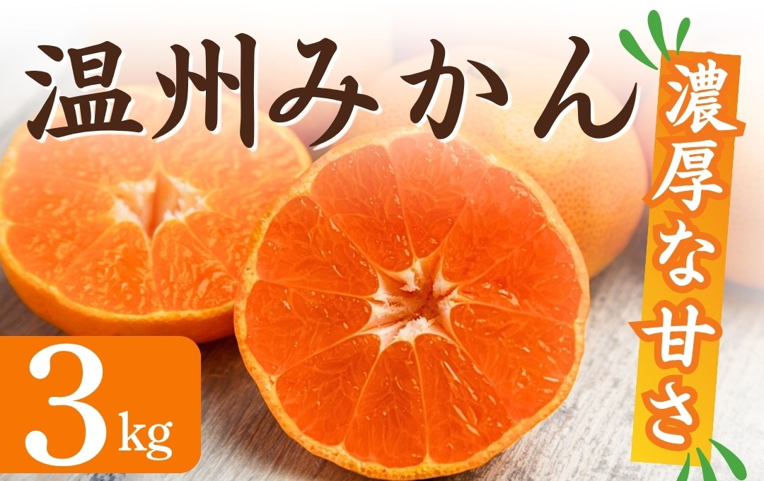 
                  【先行予約】湯の花　季節の温州みかん3kg箱　【早生 温州 みかん 果物 果物 フルーツ 旬 柑橘 甘い 新鮮 伊豆 南伊豆 】　<BC-75>
                