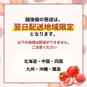 【先行予約 苺】 越後姫3L～2L 24粒 or 30粒  新発田市 苺 sugai002_01