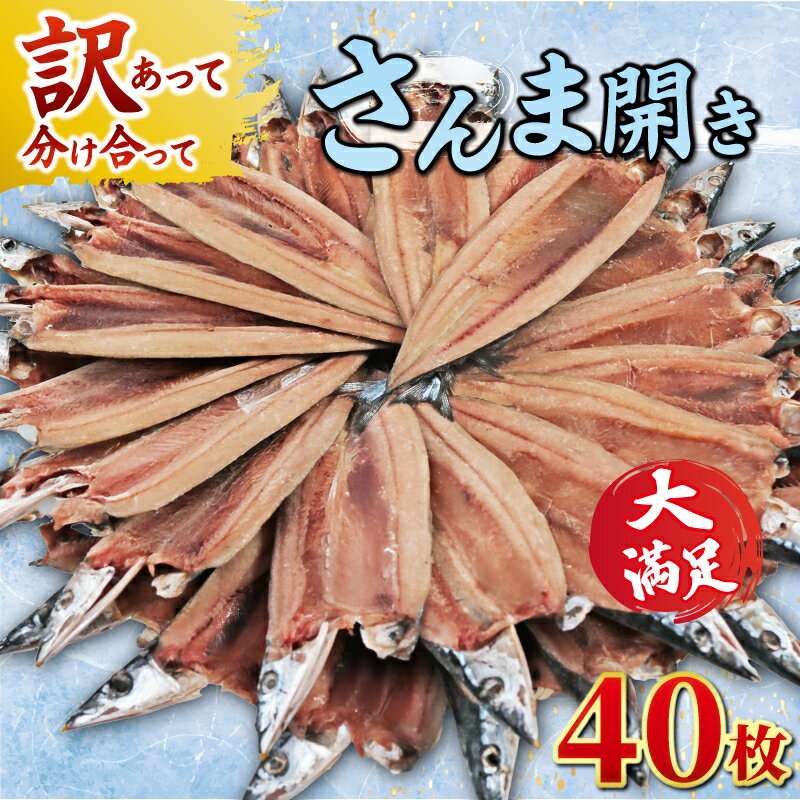 【ふるさと納税】 訳あり さんま 40枚 開き 秋刀魚 訳あって 分け合って さんま開き 国産 北海道 産 小分け 冷凍 干物 魚 海鮮 魚介 大容量 保存食 人気 グルメ お取り寄せ 贈り物 ふるさと納税 ふるさと納税さんま 11000円 11,000円 送料無料 千葉県 銚子市 ヤマニンベン