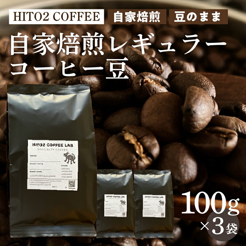 【ふるさと納税】 HITO2 COFFEE自家焙煎レギュラーコーヒー豆（豆のまま）100gx3袋【 コーヒー 珈琲 コーヒー豆 焙煎 銘柄 3種類 自家焙煎 セット 詰合せ 送料無料 】