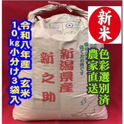 ふるさと納税 阿賀野市 【令和8年産新米】 新潟県産「新之助」 玄米 30kg(10kg×3袋)
