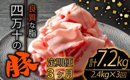 【定期便3回】高知県産 ブランドポーク 豚肉 切り落とし 計7.2kg（2.4kg×3ヶ月連続お届け) 2Kコース | 肉 豚肉 国産豚肉 高知県産豚肉 豚肉 大容量 豚肉 しゃぶしゃぶ 豚肉 バラ肉 小分け 小間切れ スライス 切り落とし 冷凍 真空パック 簡単調理 細切れ 大容量 肉 高知県 須崎市 TM39000