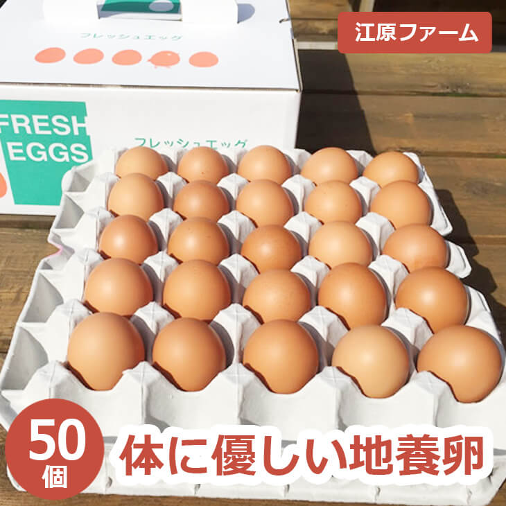 【ふるさと納税】江原ファーム 体に優しい地養卵 50個 割れ補償 ｜ 卵 赤玉 玉子 たまご タマゴ 生卵 鶏卵 生みたて 産みたて 地養卵 新鮮 濃厚 健康 TKG たまごかけごはん ご飯のお供 国産 ギフト 贈答 贈り物 お中元 お歳暮 プレゼント 茨城県 古河市 直送 農家直送 _AG04