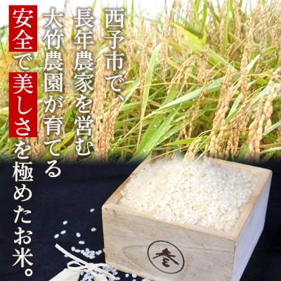 ふるさと納税 西予市 <令和8年産:大竹農園　「コシヒカリ」5kg>　米　コメ　ご飯　西予市　宇和 |  | 01