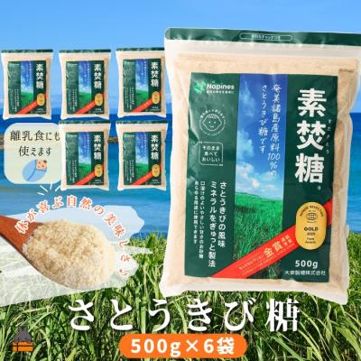 ふるさと納税 徳之島町 ミネラルをぎゅっと製法 さとうきび糖 素焚糖(すだきとう)(500g×6袋)