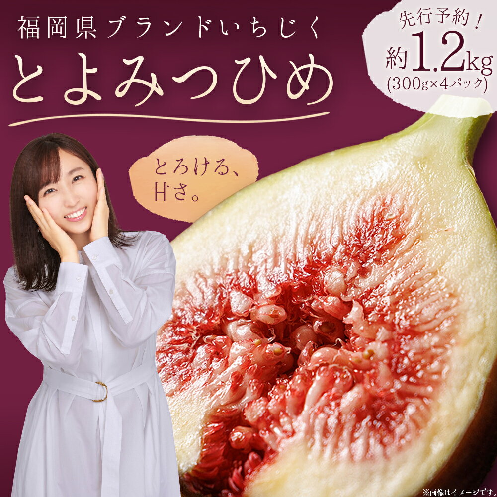 【ふるさと納税】福岡県 ブランド いちじく 「 とよみつひめ 」 約 1.2kg ( 約 300g × 4パック ) イチジク 無花果 国産 フルーツ 果物 食物繊維 美容 送料無料 3W2