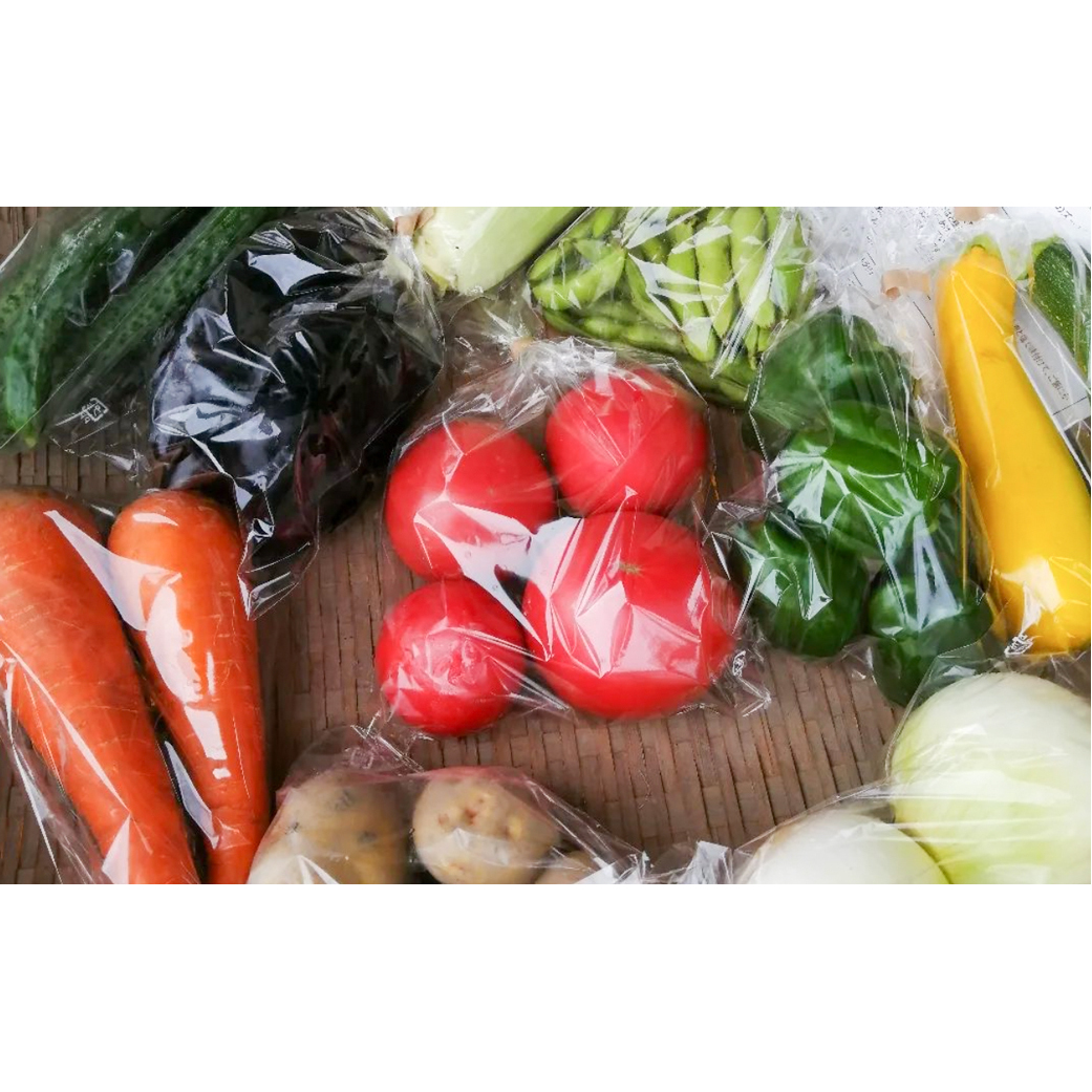 ご家庭向けお野菜セット～旬のおまかせBOX～2回お届け_イメージ3